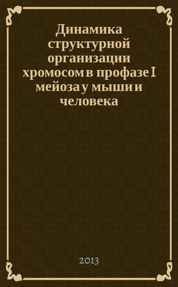 Динамика структурной организации хромосом в профазе I мейоза у мыши и человека : автореферат диссертации на соискание ученой степени кандидата биологических наук : специальность 03.02.07 <Генетика>