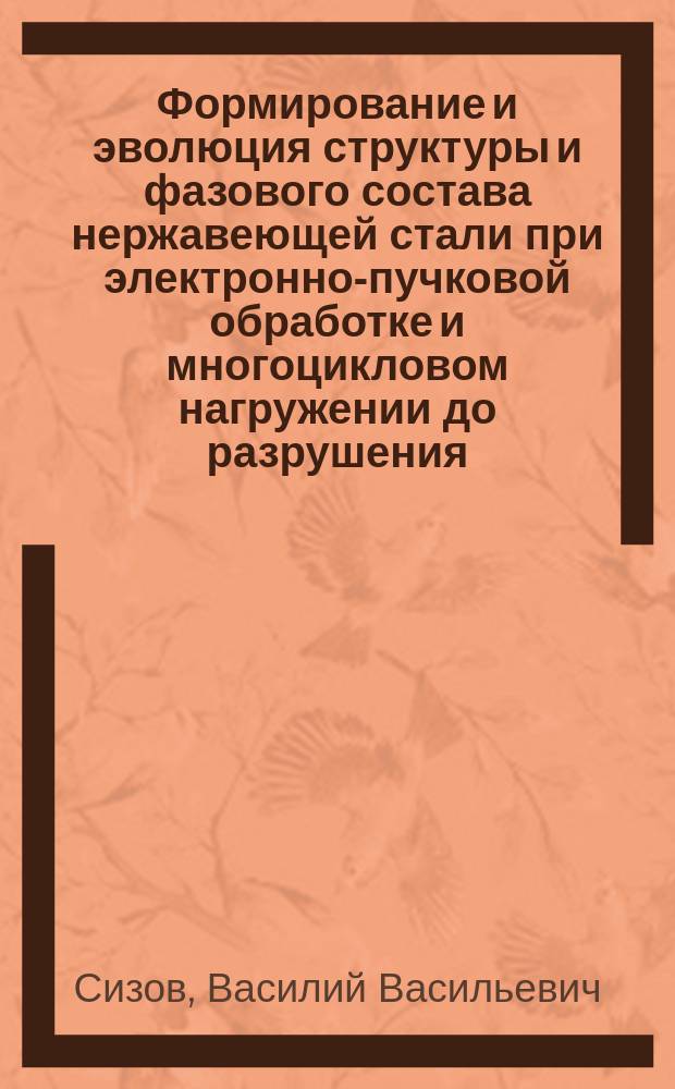 Формирование и эволюция структуры и фазового состава нержавеющей стали при электронно-пучковой обработке и многоцикловом нагружении до разрушения : автореферат диссертации на соискание ученой степени кандидата технических наук : специальность 01.04.07 <Физика конденсированного состояния>