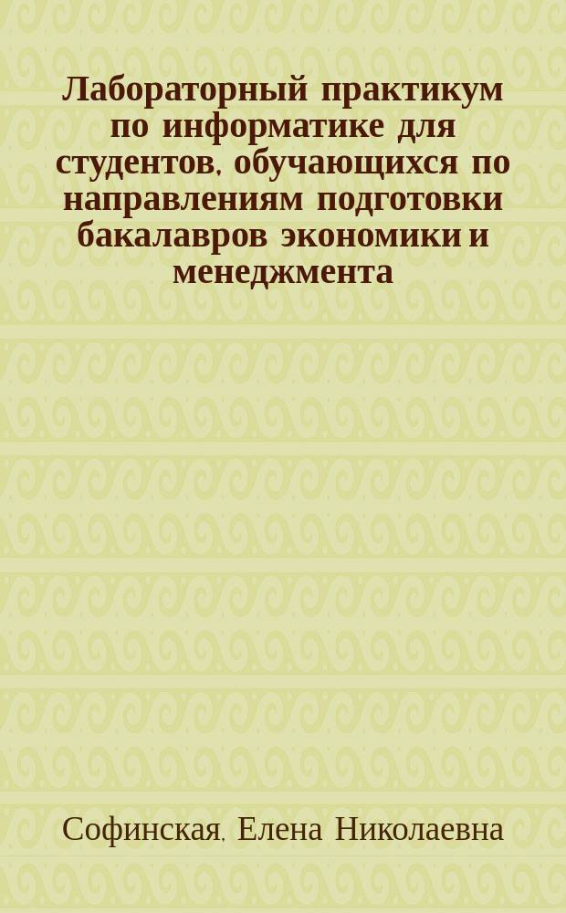 Лабораторный практикум по информатике для студентов, обучающихся по направлениям подготовки бакалавров экономики и менеджмента : учебно-методическое пособие