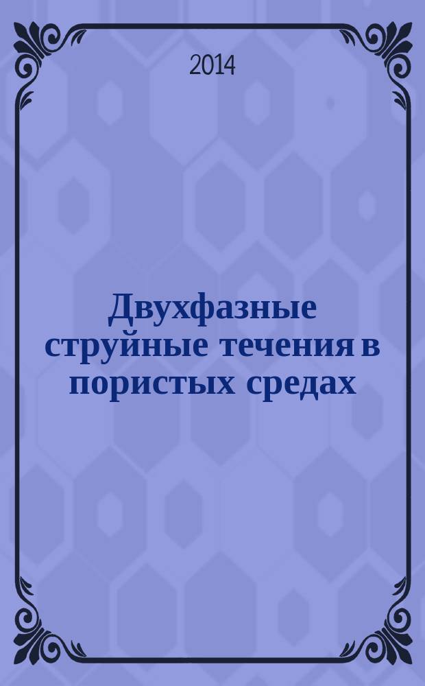 Двухфазные струйные течения в пористых средах : автореферат диссертации на соискание ученой степени кандидата физико-математических наук : специальность 25.00.10 <Геофизика, геофизические методы поисков полезных ископаемых>