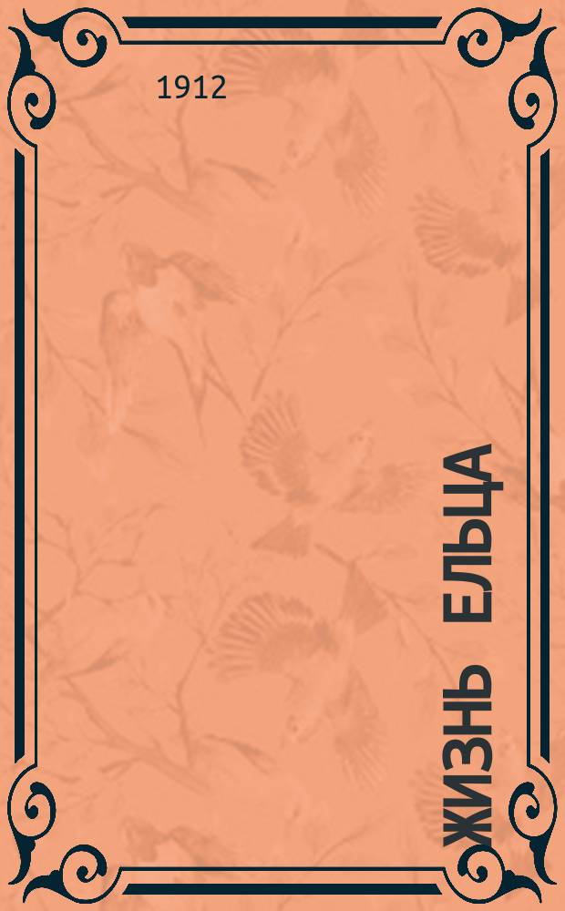 Жизнь Ельца