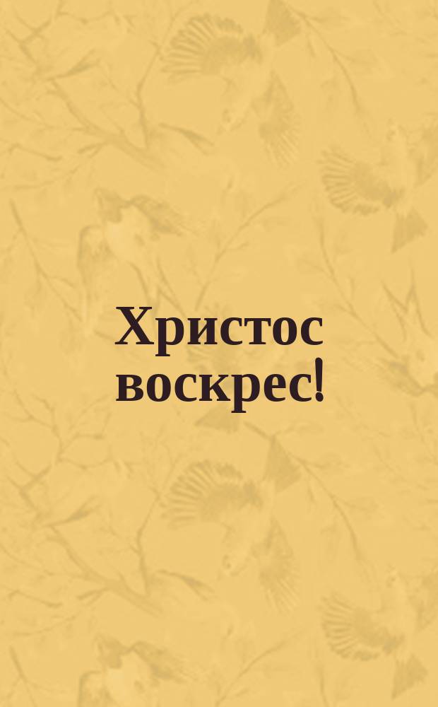 Христос воскрес! : почтовая карточка