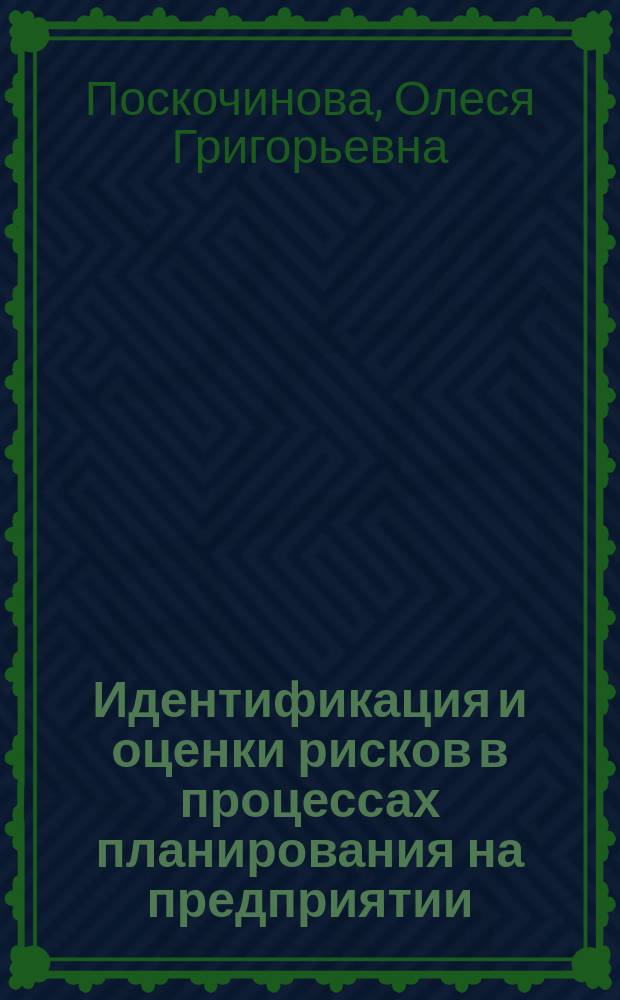 Идентификация и оценки рисков в процессах планирования на предприятии : монография