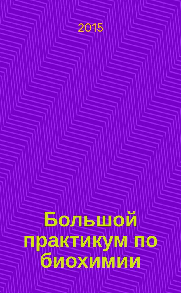 Большой практикум по биохимии : учебно-методическое пособие