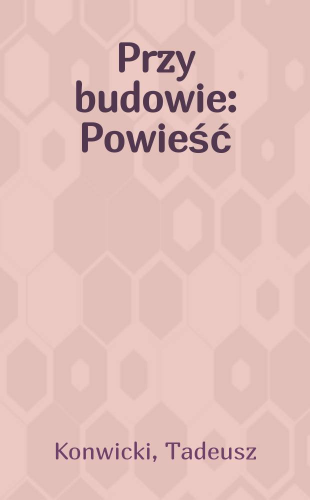 Przy budowie : Powieść