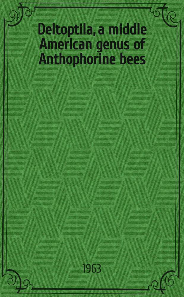 Deltoptila, a middle American genus of Anthophorine bees (Hymenoptera, Apoidea)