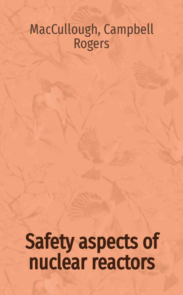 Safety aspects of nuclear reactors