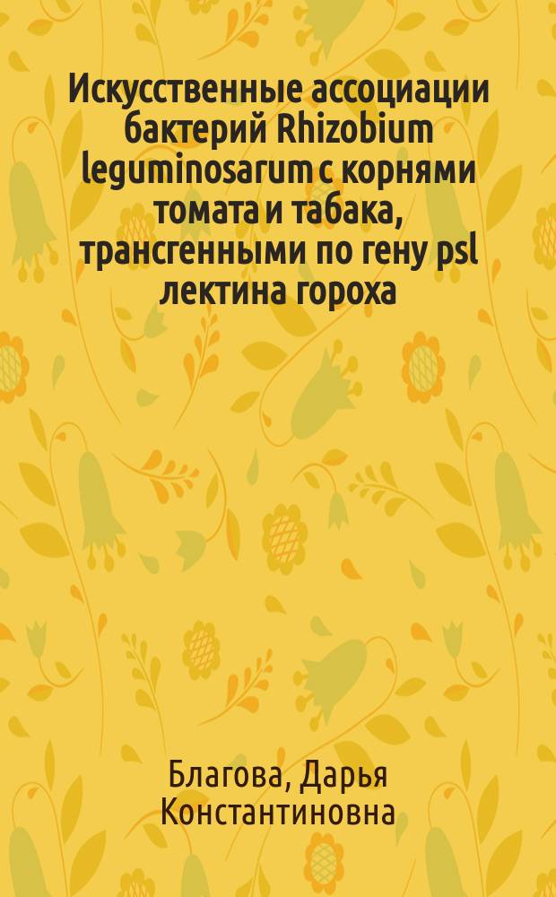 Искусственные ассоциации бактерий Rhizobium leguminosarum с корнями томата и табака, трансгенными по гену psl лектина гороха : автореферат дис. на соиск. уч. степ. кандидата биологических наук : специальность 03.01.03 <молекулярная биология>