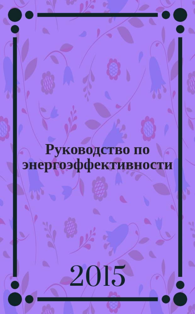 Руководство по энергоэффективности