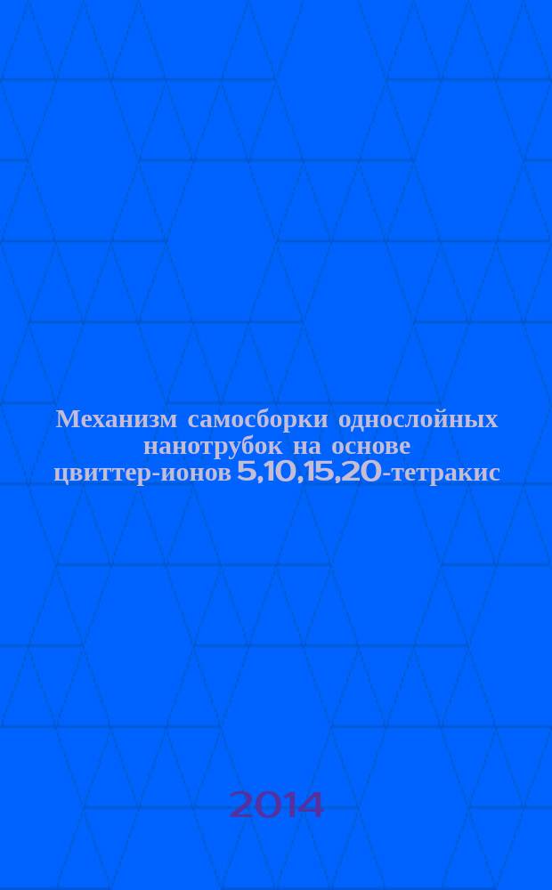 Механизм самосборки однослойных нанотрубок на основе цвиттер-ионов 5,10,15,20-тетракис(4'-сульфофенил)порфина : автореферат диссертации на соискание ученой степени кандидата химических наук : специальность 02.00.04 <Физическая химия>