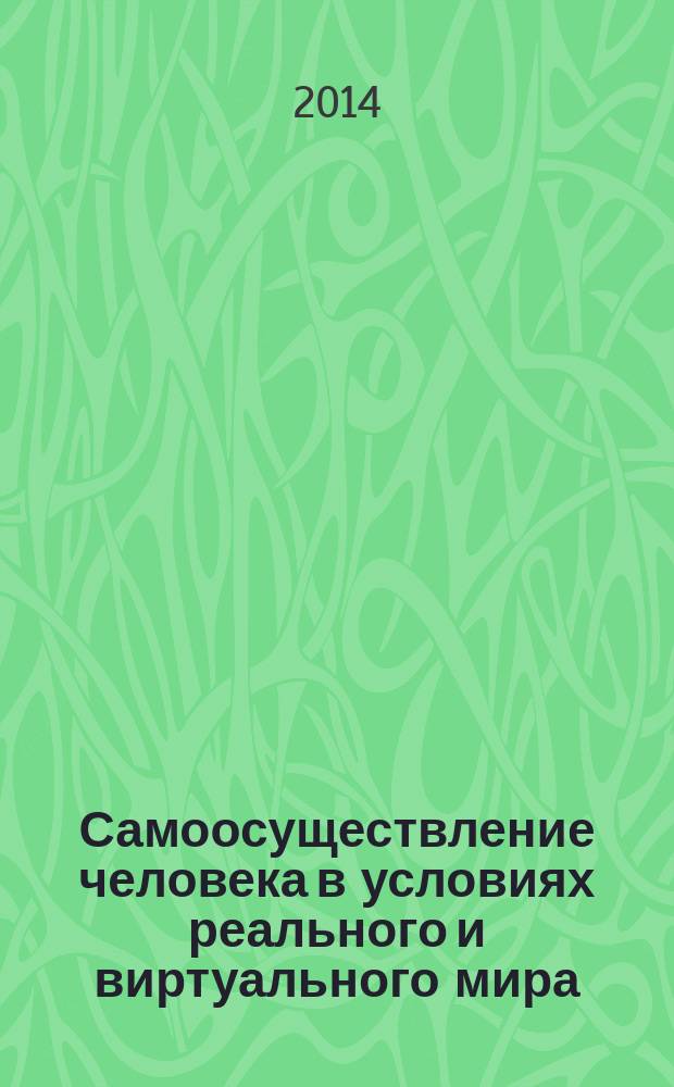Самоосуществление человека в условиях реального и виртуального мира: субъектный подход : автореферат диссертации на соискание ученой степени доктора психологических наук : специальность 19.00.01 <Общая психология, психология личности, история психологии>