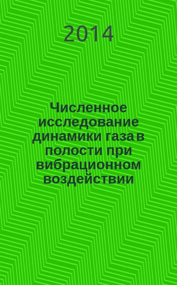 Численное исследование динамики газа в полости при вибрационном воздействии : автореферат диссертации на соискание ученой степени кандидата физико-математических наук : специальность 01.02.05 <Механика жидкости, газа и плазмы>
