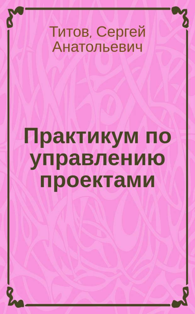 Практикум по управлению проектами : (сборник практических ситуаций) : учебное пособие