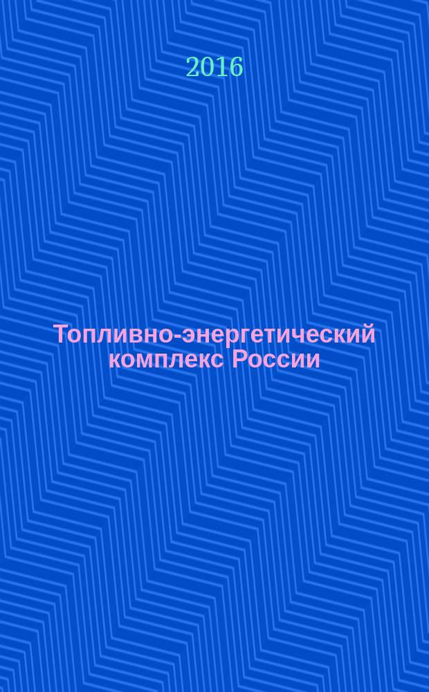 Топливно-энергетический комплекс России : проблемы и тенденции развития рынка : монография : научная специальность 08.00.05 "Экономика и управление народным хозяйством"