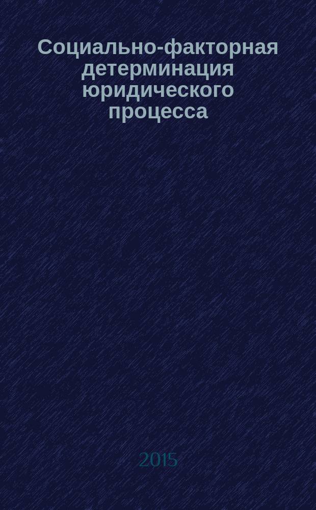 Социально-факторная детерминация юридического процесса : учебное пособие