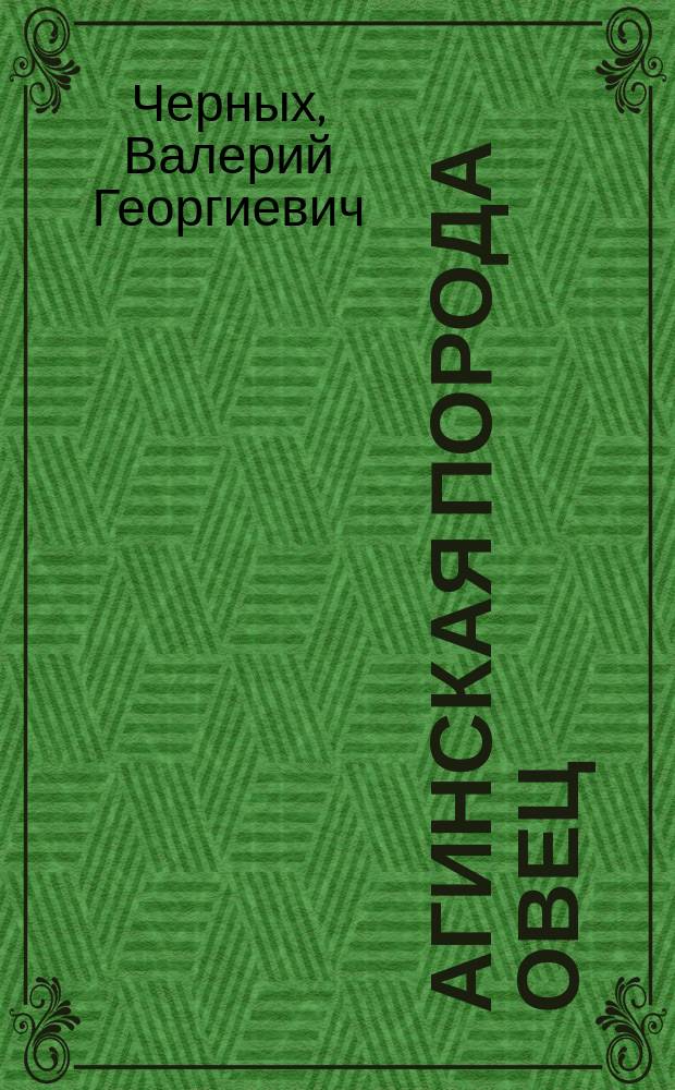 Агинская порода овец