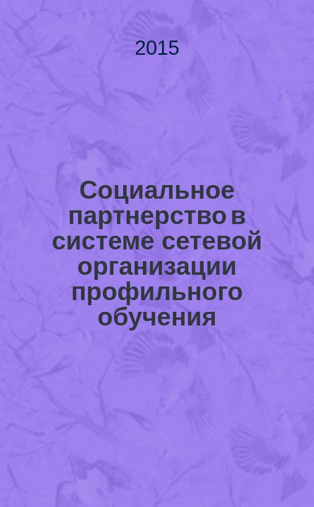 Социальное партнерство в системе сетевой организации профильного обучения : монография. Ч. 2
