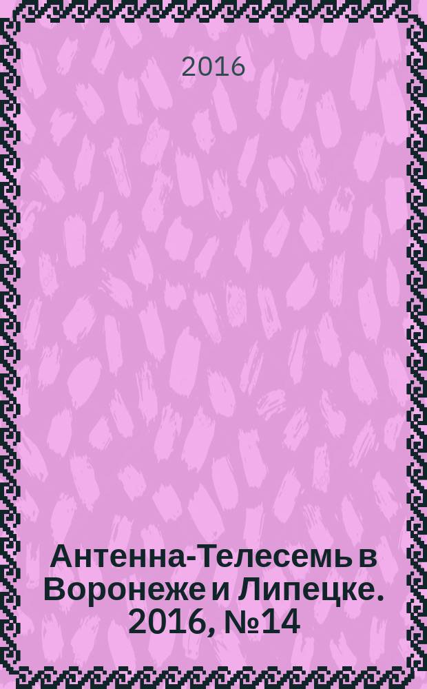 Антенна-Телесемь в Воронеже и Липецке. 2016, № 14 (14)