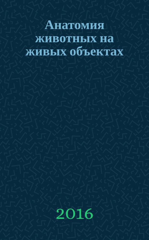Анатомия животных на живых объектах : учебное пособие. Ч. 1