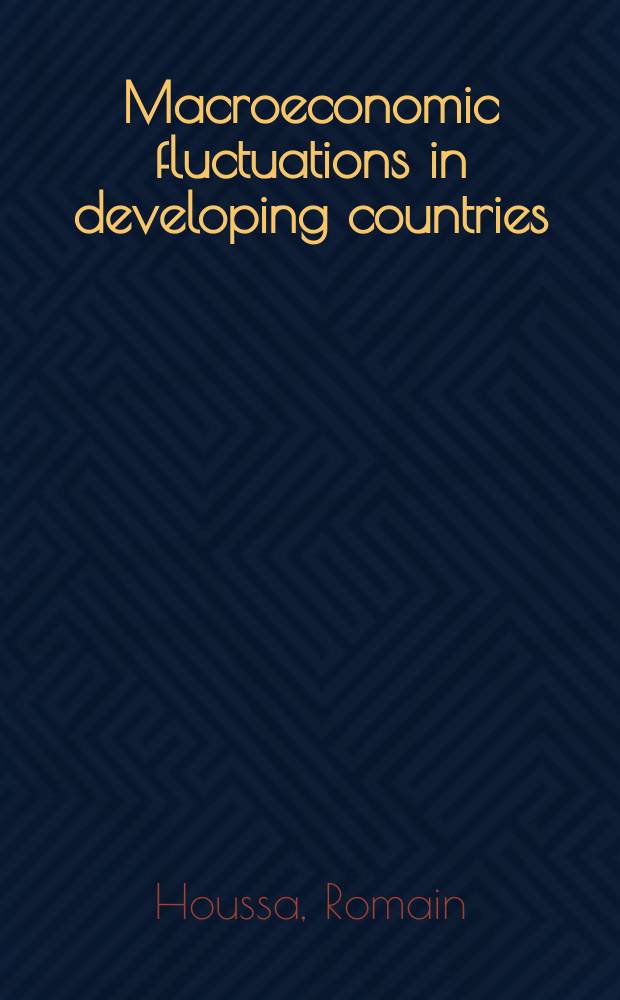 Macroeconomic fluctuations in developing countries : proefschrift = Макроэкономические колебания в развивающихся странах