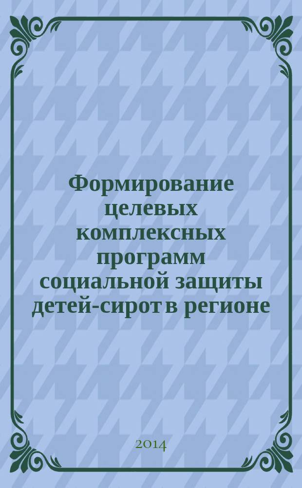 Формирование целевых комплексных программ социальной защиты детей-сирот в регионе : автореферат диссертации на соискание ученой степени кандидата экономических наук : специальность 08.00.05 <Экономика и управление народным хозяйством по отраслям и сферам деятельности>