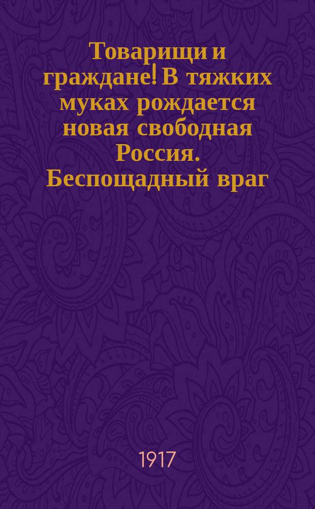 Товарищи и граждане! В тяжких муках рождается новая свободная Россия. Беспощадный враг... : листовка