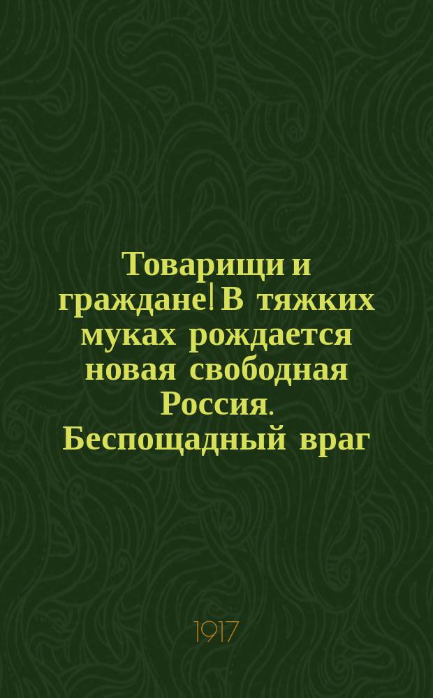 Товарищи и граждане! В тяжких муках рождается новая свободная Россия. Беспощадный враг... : листовка