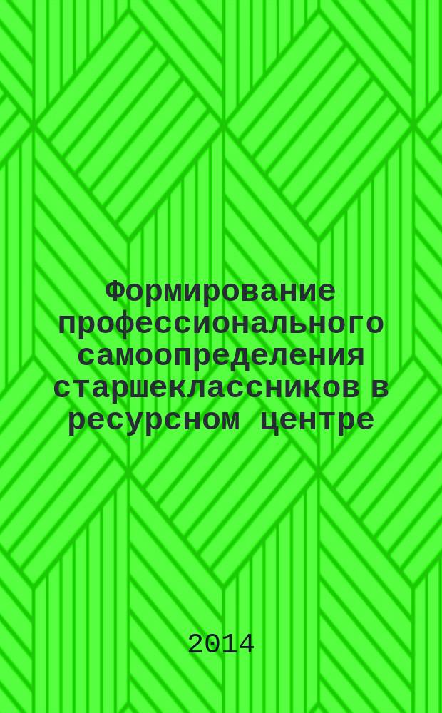 Формирование профессионального самоопределения старшеклассников в ресурсном центре : автореферат диссертации на соискание ученой степени кандидата педагогических наук : специальность 13.00.08 <Теория и методика профессионального образования>