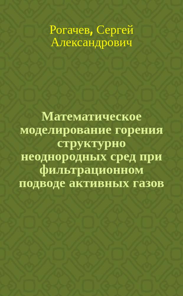 Математическое моделирование горения структурно неоднородных сред при фильтрационном подводе активных газов : автореферат дис. на соиск. уч. степ. кандидата физико-математических наук : специальность 01.04.17 <химическая физика>
