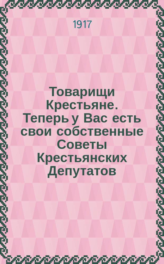 Товарищи Крестьяне. Теперь у Вас есть свои собственные Советы Крестьянских Депутатов: Всероссийский в г. Петрограде, Губернский в Твери и Уездные в уездном городе ... : листовка