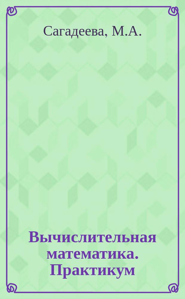 Вычислительная математика. Практикум