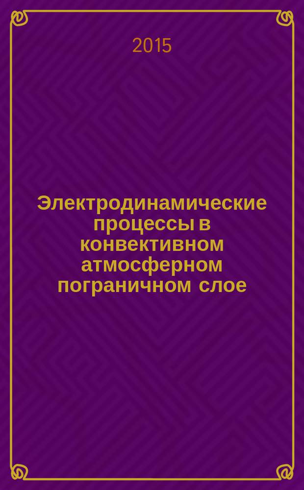 Электродинамические процессы в конвективном атмосферном пограничном слое : автореферат диссертации на соискание ученой степени кандидата физико-математических наук : специальность 25.00.10 <Геофизика, геофизические методы поисков полезных ископаемых>