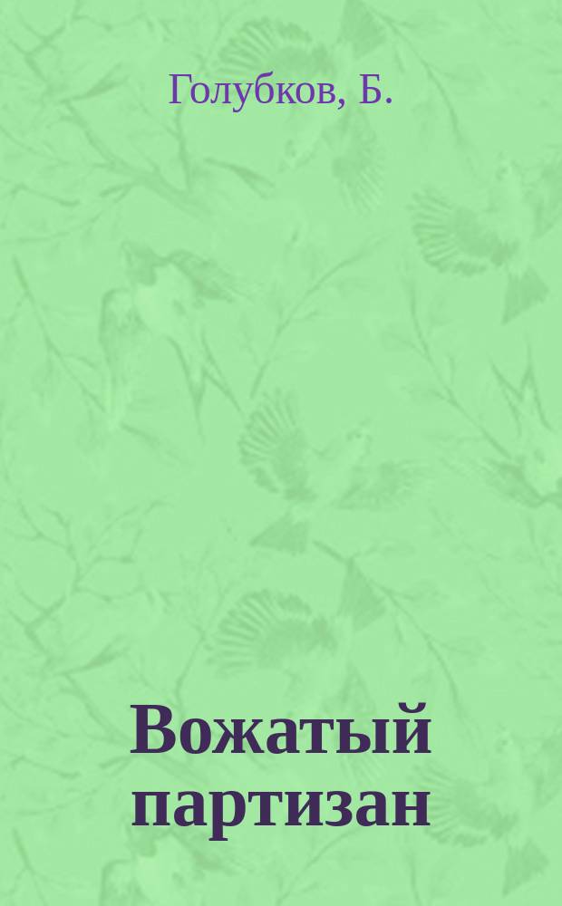 Вожатый партизан = Вожатый партизан