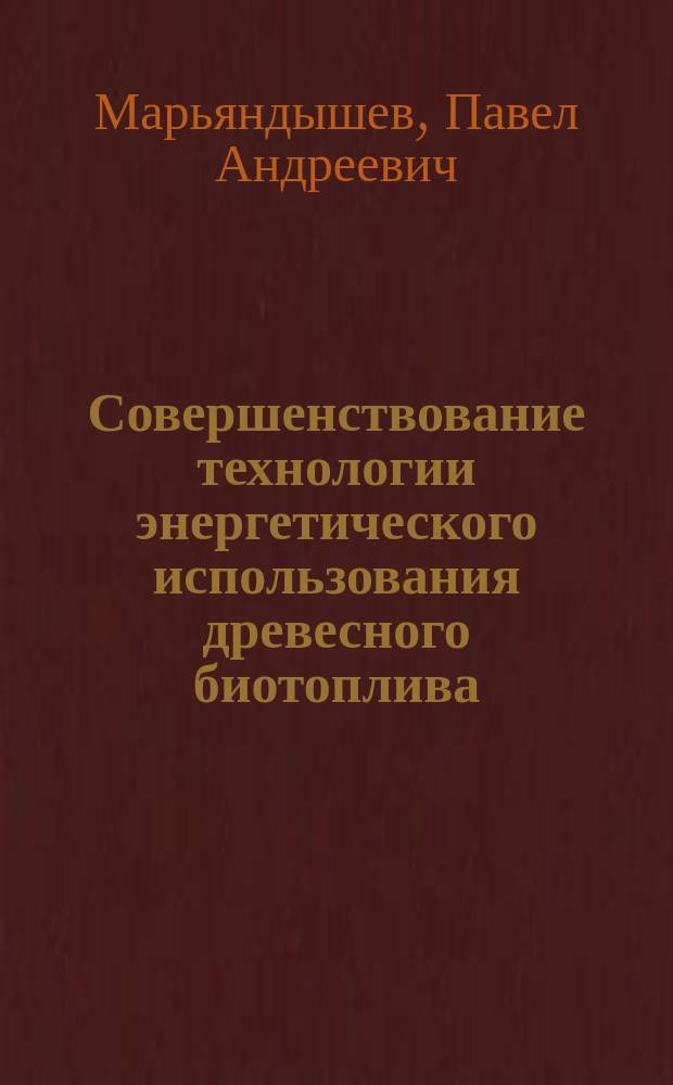 Совершенствование технологии энергетического использования древесного биотоплива : автореферат диссертации на соискание ученой степени кандидата технических наук : специальность 05.14.04 <Промышленная теплоэнергетика>