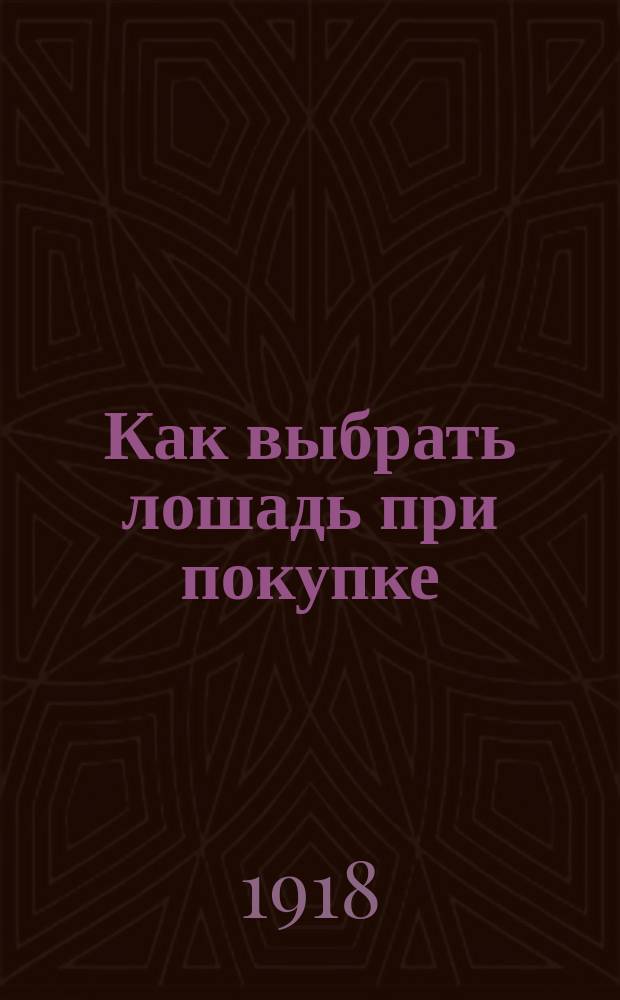Как выбрать лошадь при покупке