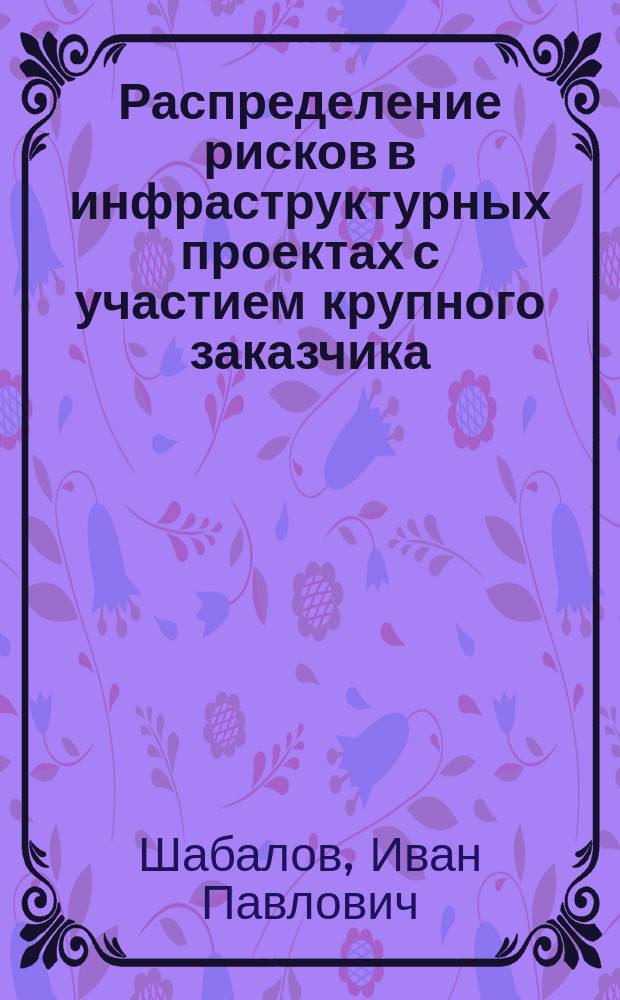 Распределение рисков в инфраструктурных проектах с участием крупного заказчика : учебно-методическое пособие