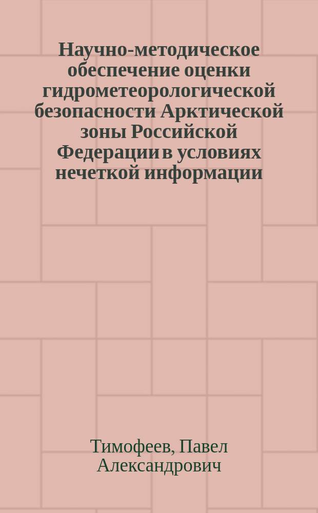 Научно-методическое обеспечение оценки гидрометеорологической безопасности Арктической зоны Российской Федерации в условиях нечеткой информации : автореферат дис. на соиск. уч. степ. кандидата географических наук : специальность 25.00.30 <метеорология>