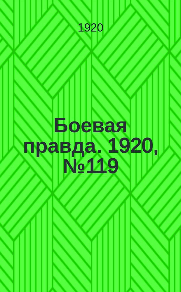 Боевая правда. 1920, № 119 (220) (3 июня)