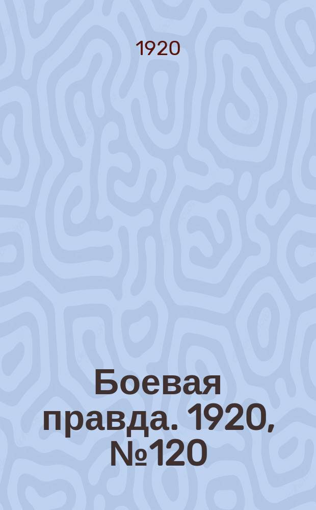 Боевая правда. 1920, № 120 (221) (4 июня)