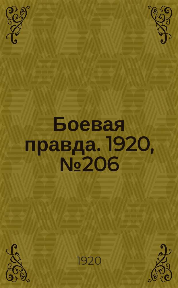 Боевая правда. 1920, № 206 (307) (16 сент.)