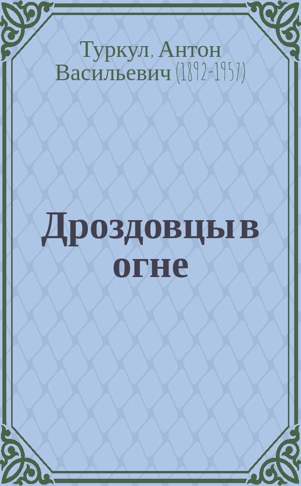 Дроздовцы в огне