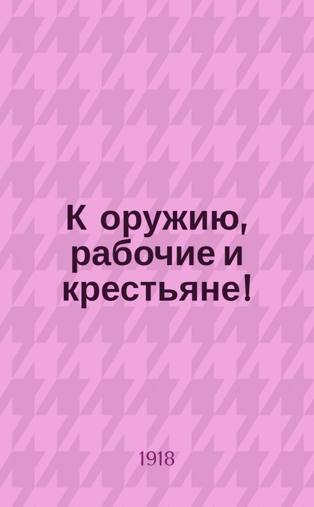 К оружию, рабочие и крестьяне! : листовка