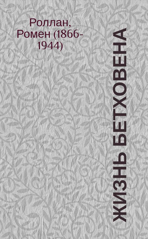 Жизнь Бетховена; Жизнь Микеланджело / Ромен Роллан; перевод с французского: М.П. Богословская, В.Н. Курелла