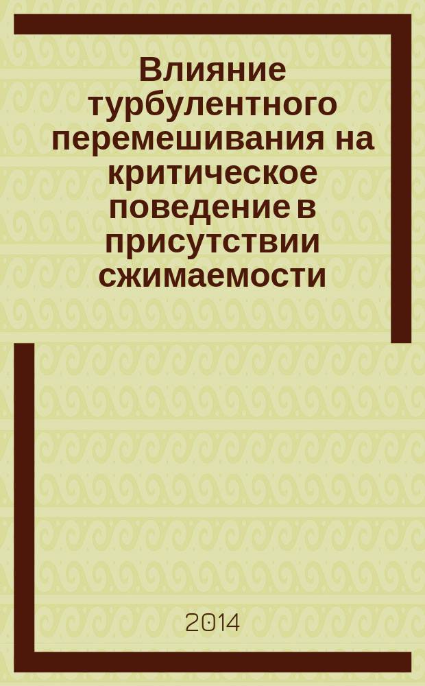 Влияние турбулентного перемешивания на критическое поведение в присутствии сжимаемости : автореферат диссертации на соискание ученой степени кандидата физико-математических наук : специальность 01.04.02 <Теоретическая физика>
