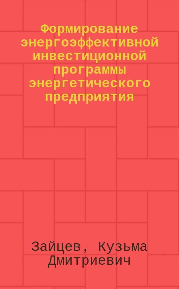 Формирование энергоэффективной инвестиционной программы энергетического предприятия : автореферат дис. на соиск. уч. степ. кандидата экономических наук : специальность 08.00.05 <Экономика и управление народным хозяйством>