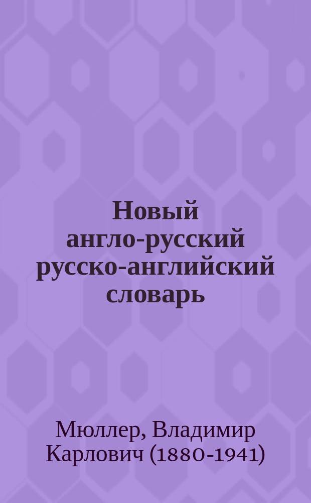 Новый англо-русский русско-английский словарь : 250000 слов и словосочетаний с двусторонней транскрипцией