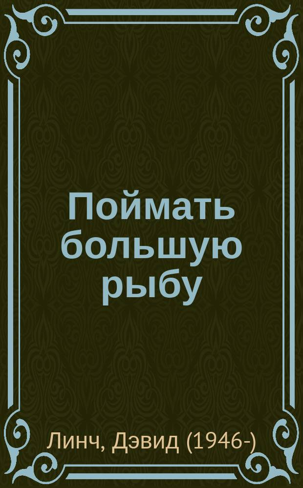 Поймать большую рыбу : медитация, осознанность, творчество : перевод с английского