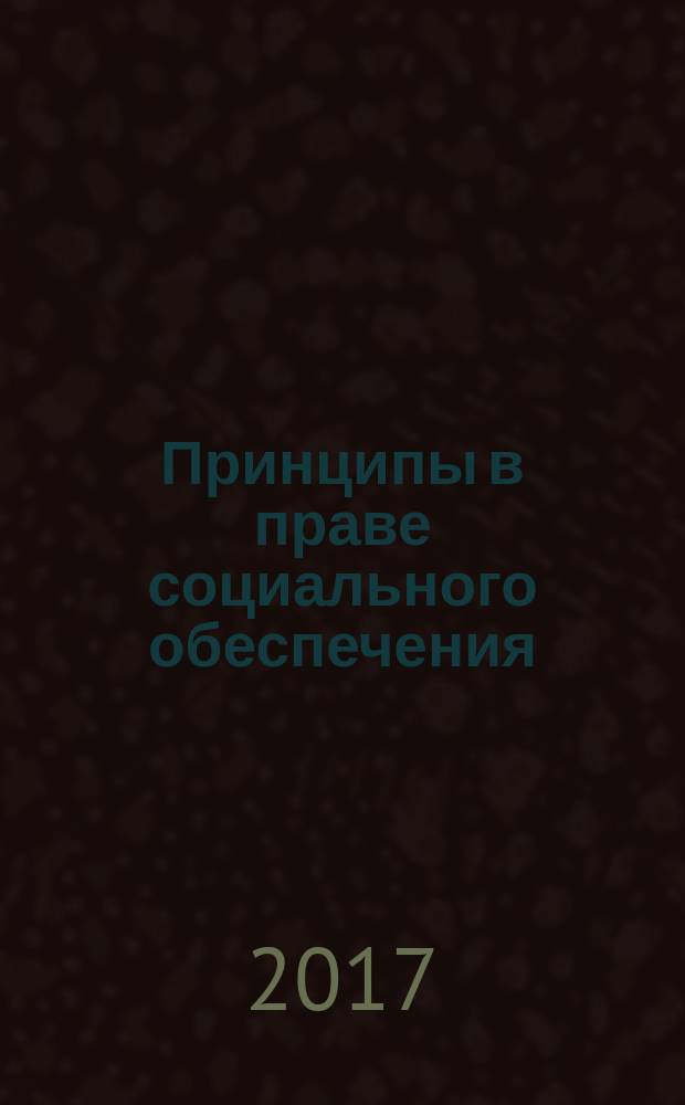 Принципы в праве социального обеспечения : монография
