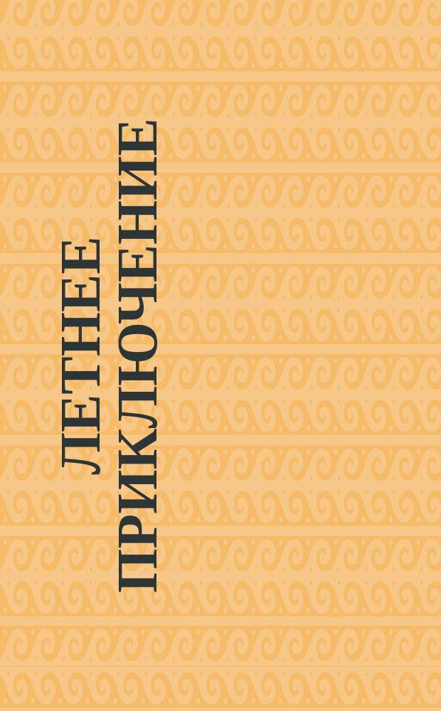 Летнее приключение : 205 наклеек : наряди, укрась, раскраска, лабиринт : книга для детей младшего школьного возраста : 0+