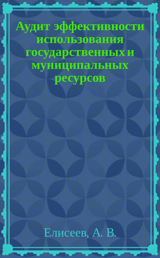 Аудит эффективности использования государственных и муниципальных ресурсов : текст лекций
